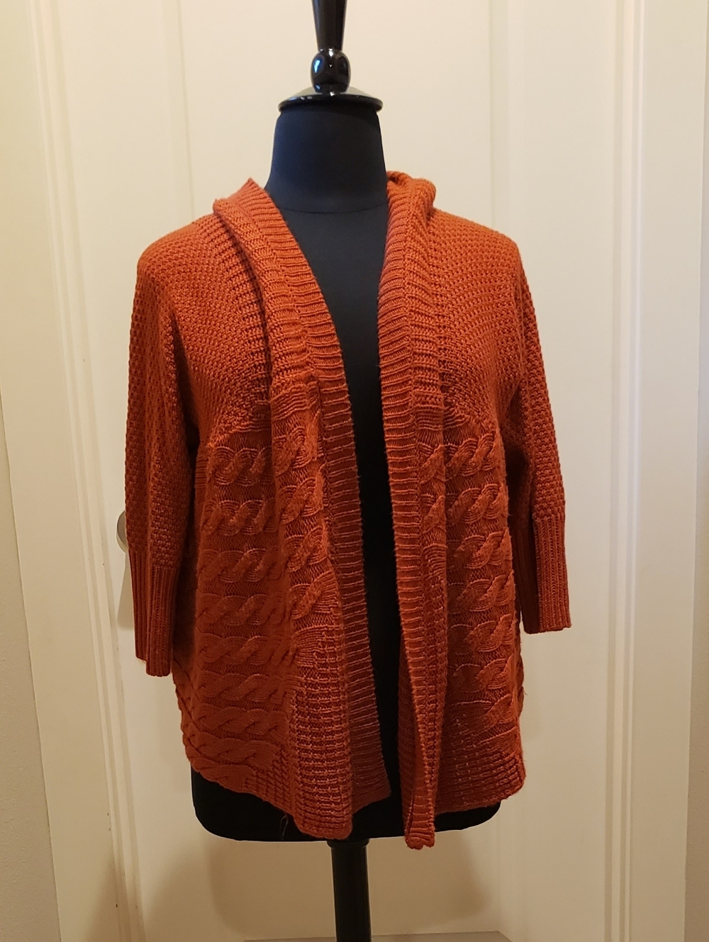 Open-Front Cable Knit Cardigan in Rust